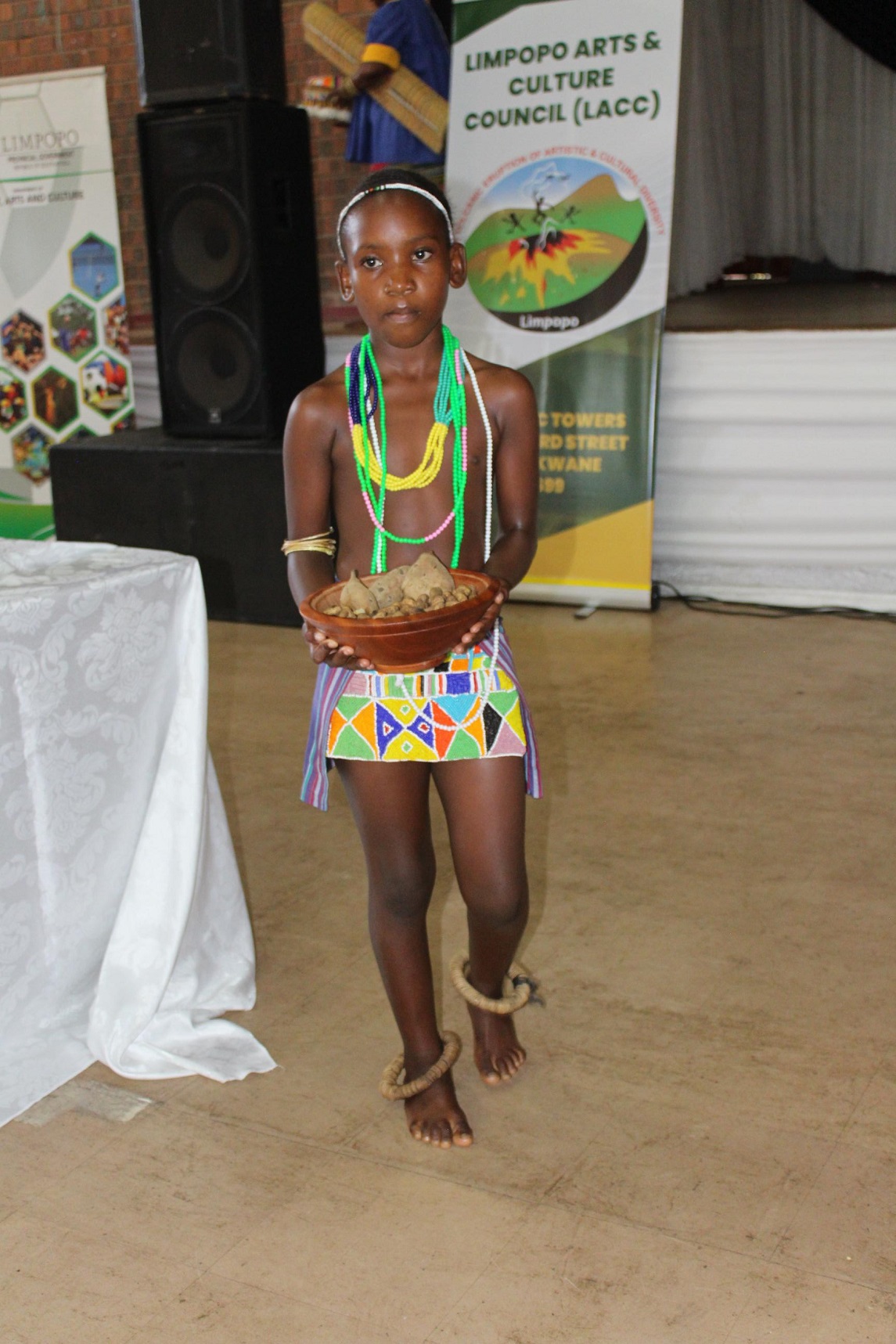  Mopani District Community Arts Centre's alive held at Nkowankowa in the Greater Tzaneen Municipality with the aim of implementing Economic Reconstruction and Recovery plan from Covid-19 for the creative space and Fostering Social Cohesion amongst the people of Limpopo. 